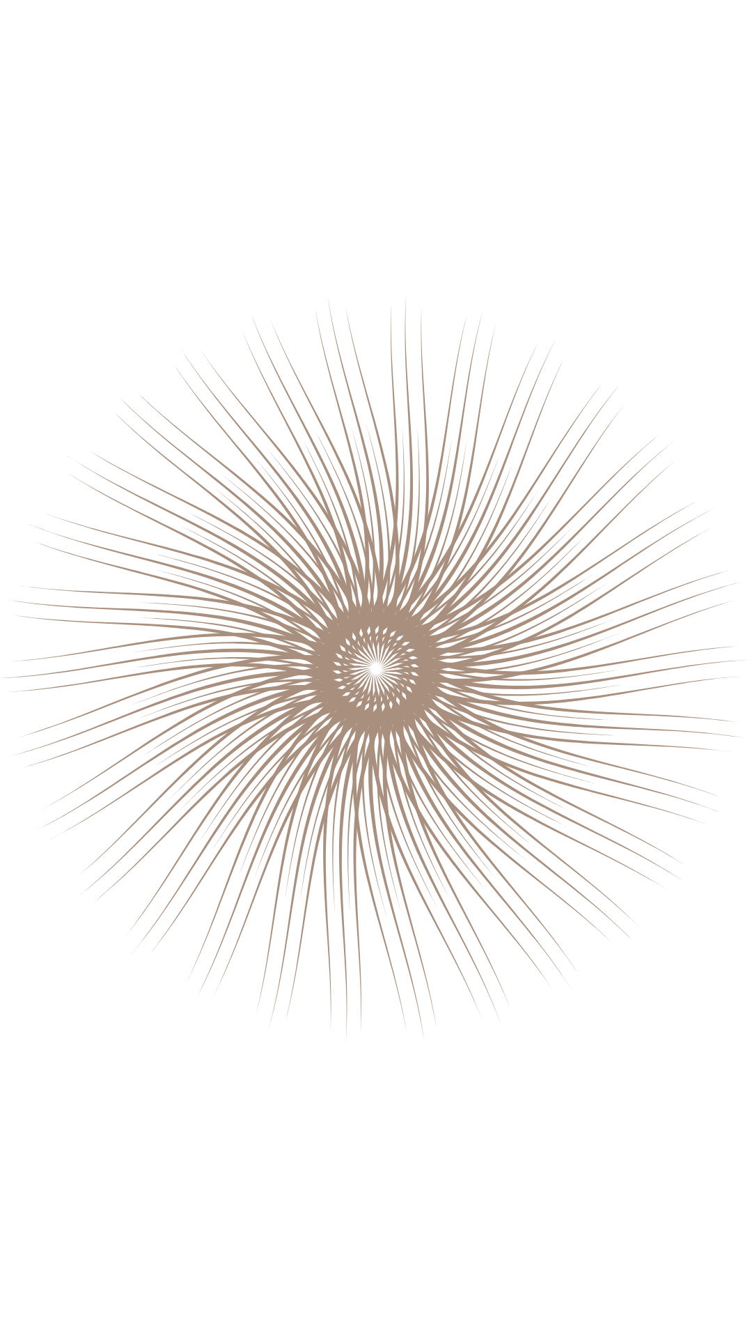 Espiral Sagrada del Despertar de la Consciencia
