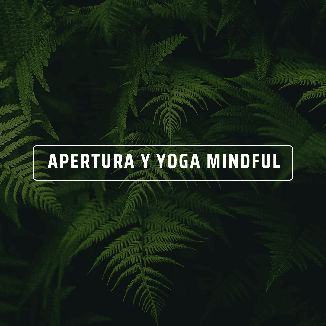 práctica de yoga consciente