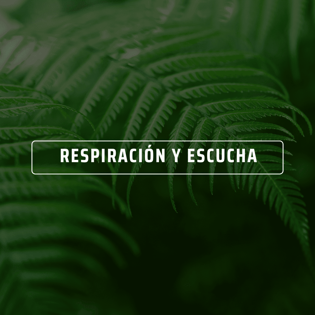 Meditación de respiración natural