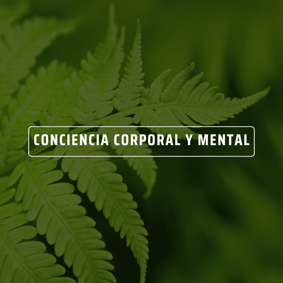 Escáner corporal, observación de pensamientos