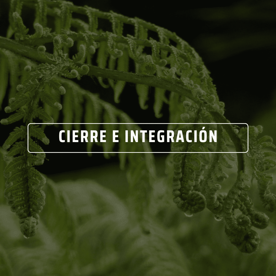 ¡Cada paso te devuelve a la vida!